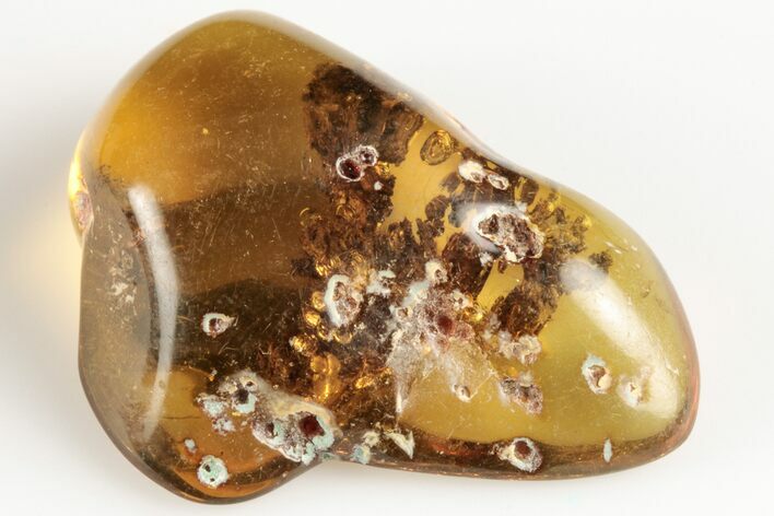 Polished Chiapas Amber ( g) - Mexico #193196
